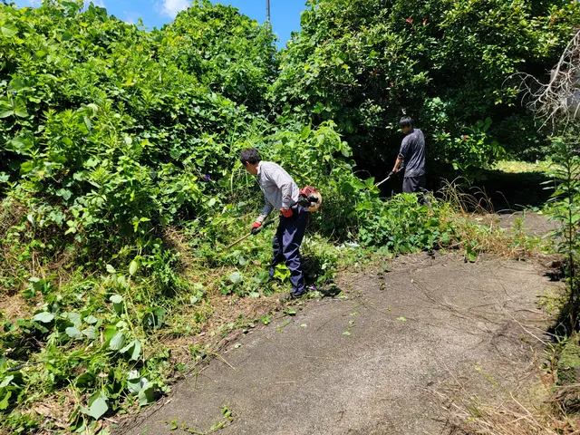 【実績多数!】スッキリ草刈り!キレイさっぱり!【お気軽にお問い合わせください!】サービスの画像