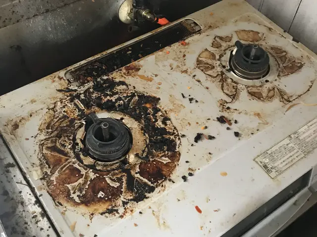 キッチン水回り清掃除菌。頑固なぬめり汚れもお任せ下さい。大分県全域伺います。サービスの画像