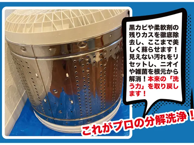 洗濯機分解洗浄｜黒カビ徹底除去・嫌なニオイ完全リセット！乾燥機能付きも！サービスの画像