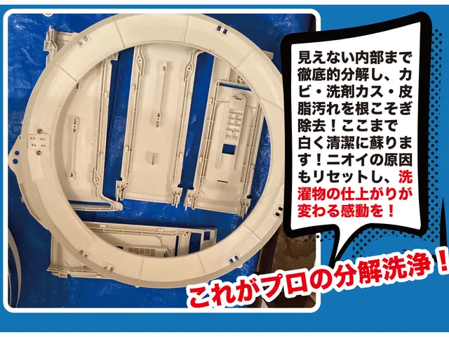 洗濯機分解洗浄｜黒カビ徹底除去・嫌なニオイ完全リセット！乾燥機能付きも！サービスの画像