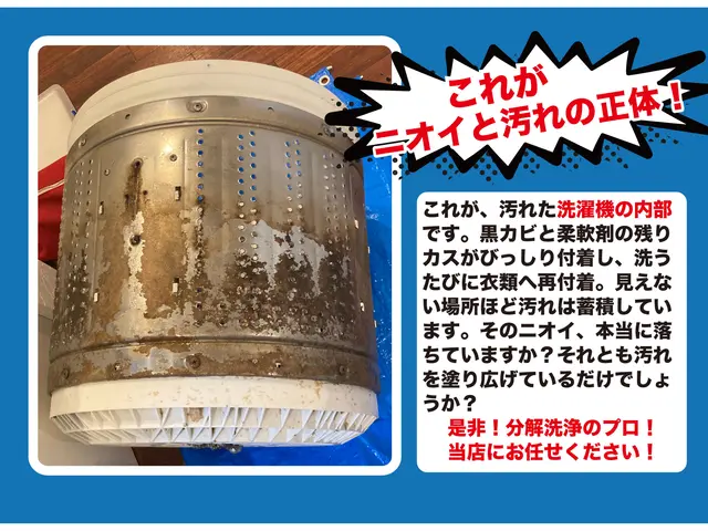 洗濯機分解洗浄｜黒カビ徹底除去・嫌なニオイ完全リセット！乾燥機能付きも！サービスの画像