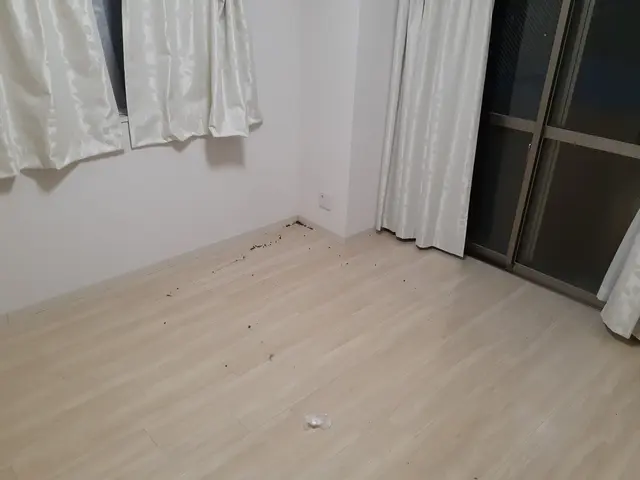 東支店オープンキャンペーン☆1日５名様限定！積み放題でお得にお片付け大型家具も◎サービスの画像