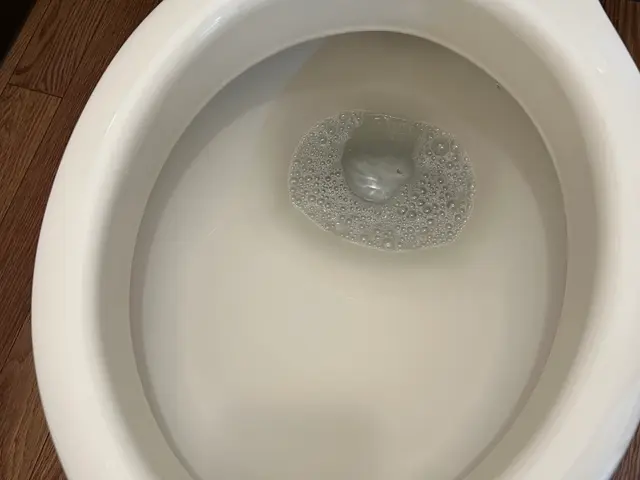 【12月出店】安心の損害保険加入済み◉若さでフットワーク軽く★大手経験あり♪サービスの画像