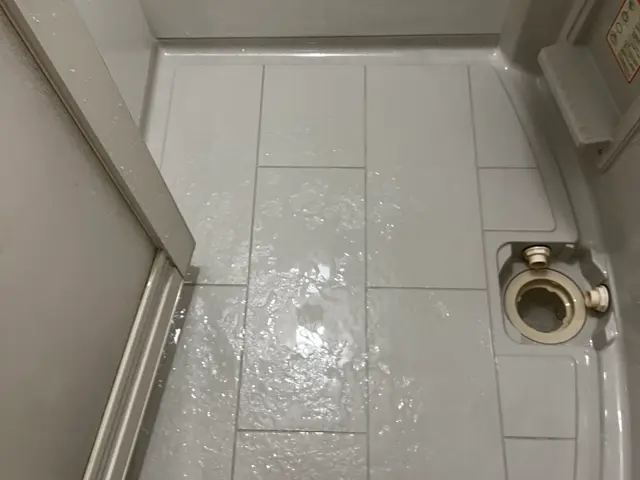 【12月出店】安心の損害保険加入済み◉若さでフットワーク軽く★大手経験あり♪サービスの画像