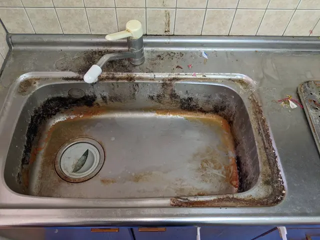 【12月出店】安心の損害保険加入済み◉若さでフットワーク軽く★大手経験あり♪サービスの画像