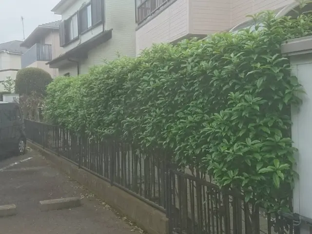 【業界歴２３年と１３年のコンビネーション】☆損害保険加入済み3億円まで対応で安心サービスの画像