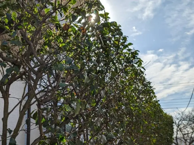 【業界歴２３年と１３年のコンビネーション】☆損害保険加入済み3億円まで対応で安心サービスの画像