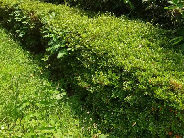 【業界歴２３年と１３年のコンビネーション】☆損害保険加入済み3億円まで対応で安心サービスの画像