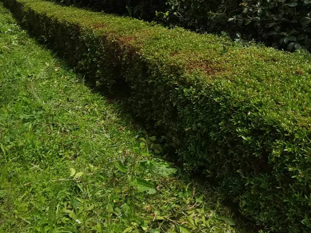 【業界歴２３年と１３年のコンビネーション】☆損害保険加入済み3億円まで対応で安心サービスの画像