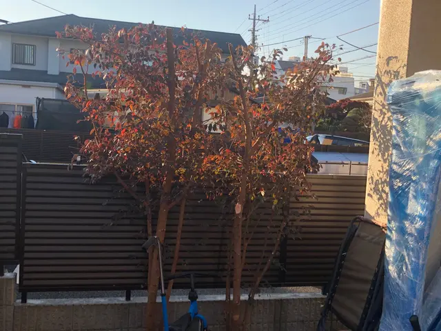 【八王子市発】女性スタッフ同行可！営業時間外や対応地域外のご予約もご相談下さい◎サービスの画像