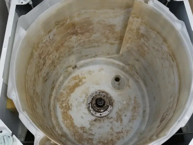 完全分解で隅々までキレイ！黒カビを徹底除去します！お子様の衣類も安心ですね。サービスの画像
