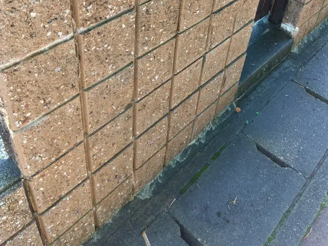 【年末大掃除早割キャンペーン中】ベランダ・バルコニー・ウッドデッキ掃除サービスの画像