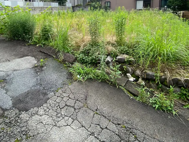 《あなたの暮らしの御用聞き》お庭のお手入れお任せください！美しく仕上げます！サービスの画像