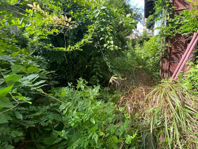 《あなたの暮らしの御用聞き》お庭のお手入れお任せください！美しく仕上げます！サービスの画像