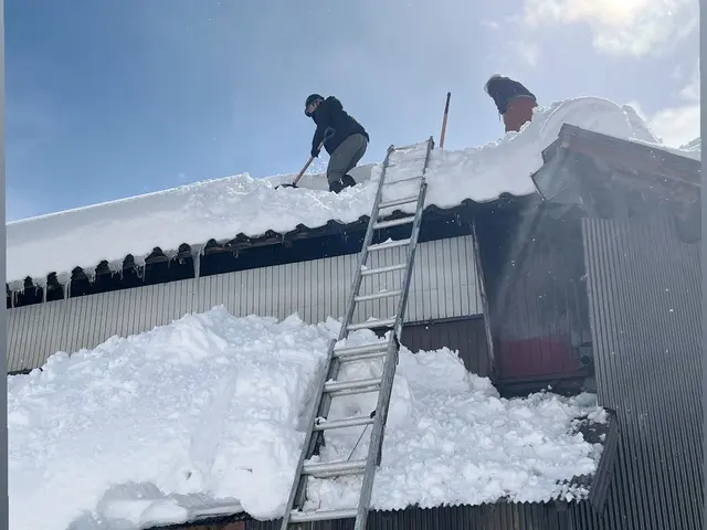 プロの技術でご満足いただけるように心を込めて作業いたしますサービスの画像