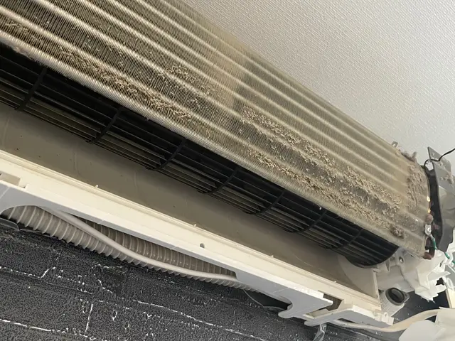 【天然植物洗剤&ヒノキの消臭抗菌仕上げで爽やかな空気に】期間限定出店記念特別価格サービスの画像