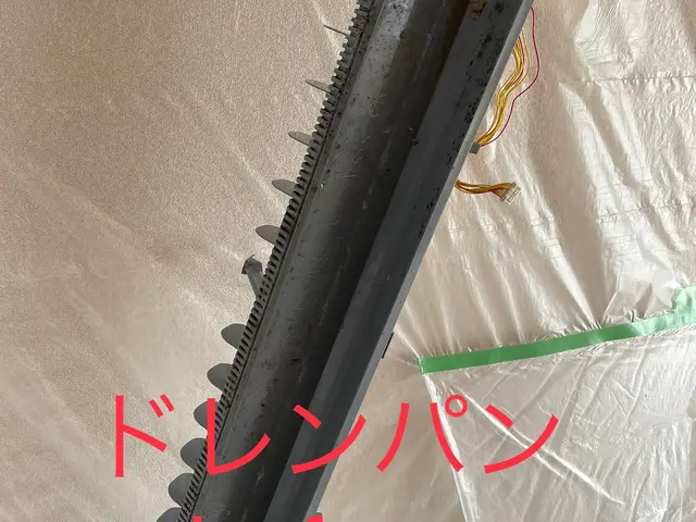 【天然植物洗剤&ヒノキの消臭抗菌仕上げで爽やかな空気に】期間限定出店記念特別価格サービスの画像