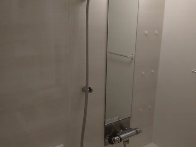 お風呂まるごと！【エプロン内部洗浄＋鏡鱗取がセット】¥18000税込サービスの画像