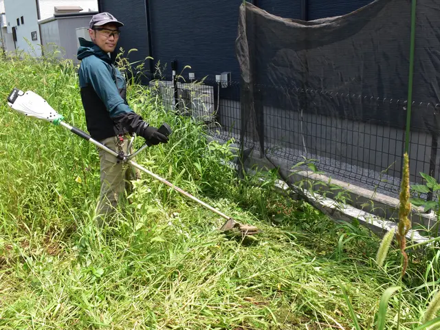 【とことん草刈り】マンパワーでスッキリさせます◎サービスの画像