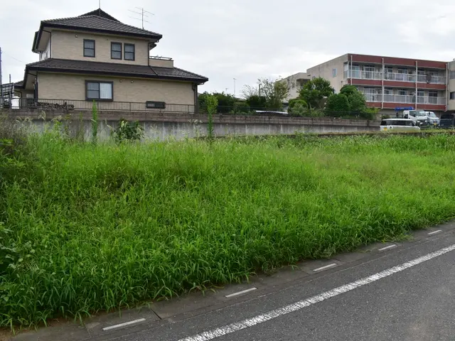 【とことん草刈り】マンパワーでスッキリさせます◎サービスの画像