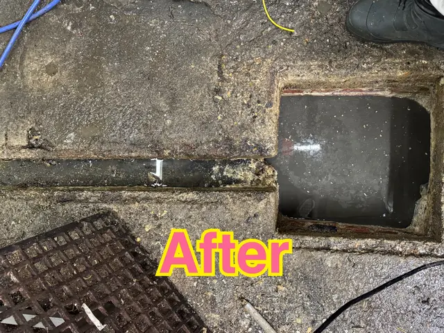 【1時間以内に必ず返信！】お困りのあなたへ！ニオイ・ヌメリもスッキリ除去！サービスの画像