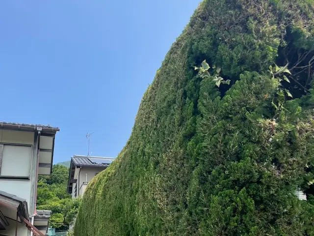 【職人歴10年の実績】年中無休◎アフターフォローもお任せくださいサービスの画像