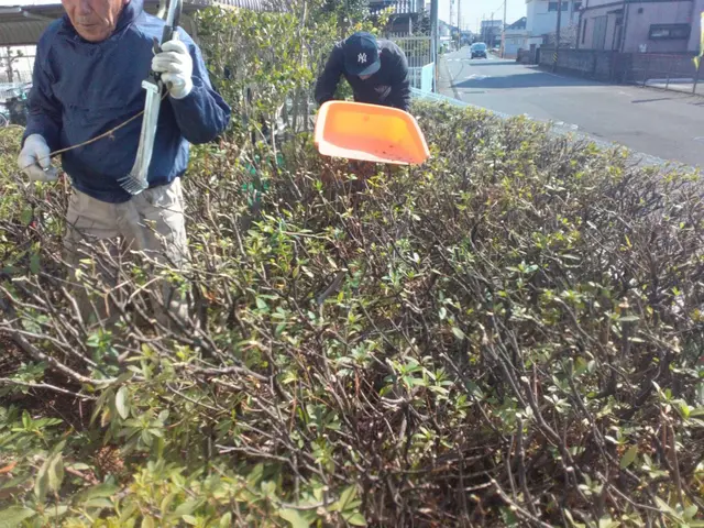 【職人歴10年の実績】年中無休◎アフターフォローもお任せくださいサービスの画像