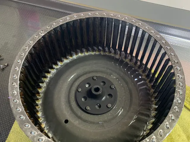 ハウスクリーニング歴20年！店長の私が責任を持って伺います！サービスの画像