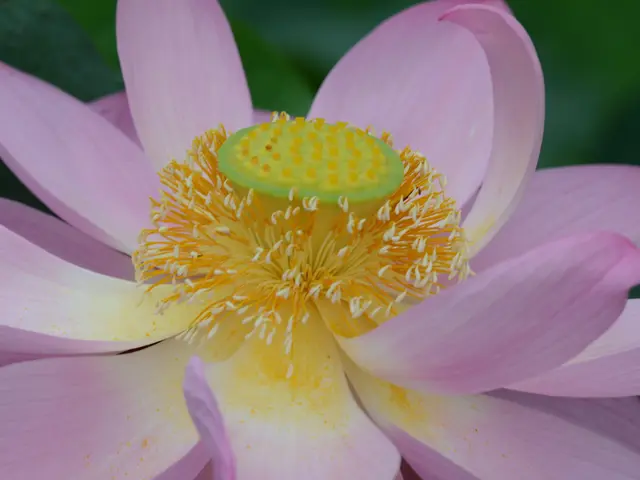 【経験20年以上】年中無休！東京都中心に出張撮影します！ご要望に合わせて撮影◎