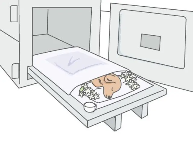 愛するペットの旅立ちや、ご火葬・ご供養でお悩みの方はお気軽にご相談ください。サービスの画像