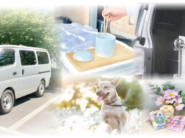 愛するペットの旅立ちや、ご火葬・ご供養でお悩みの方はお気軽にご相談ください。サービスの画像