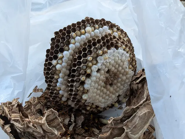 経験豊富な店長が訪問！時間外・地域外も相談対応可能サービスの画像