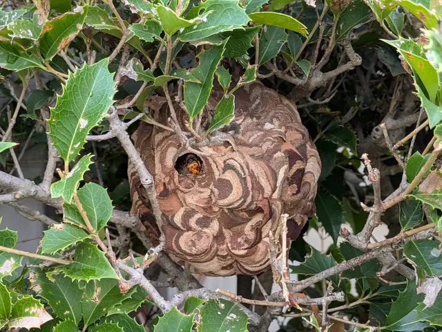 経験豊富な店長が訪問！時間外・地域外も相談対応可能サービスの画像