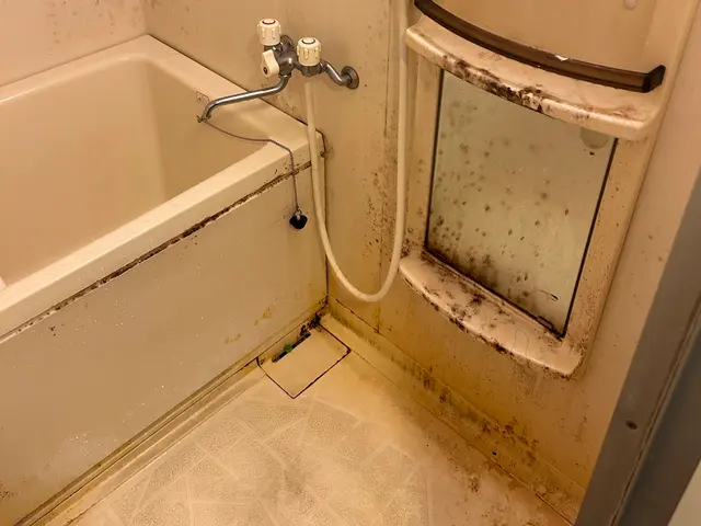 【12月早朝空き◎初めての方大歓迎！】冬も変わらず低価格でプロ技術をご提供を！サービスの画像