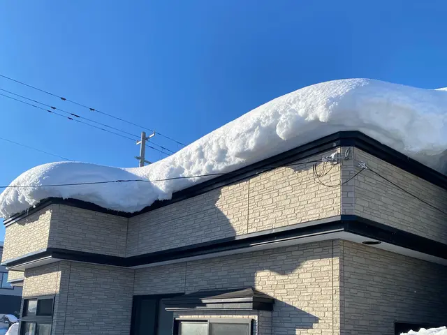 雪おろし、除雪承ります！サービスの画像