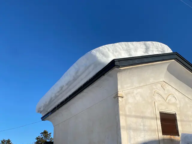 雪おろし、除雪承ります！サービスの画像