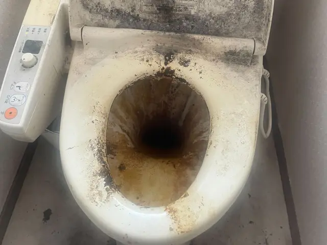 【完全分解・金融出身の代表で安心】トイレクリーニングサービスの画像