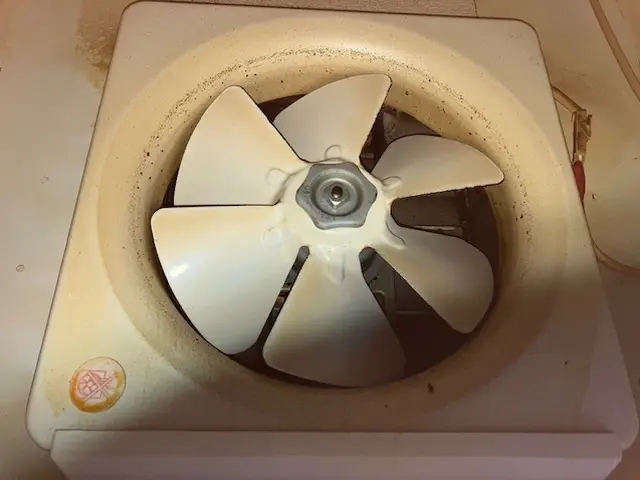 丁寧な当店にお任せ！しつこい油汚れもしっかり落とします！女性スタッフ同行OK！サービスの画像