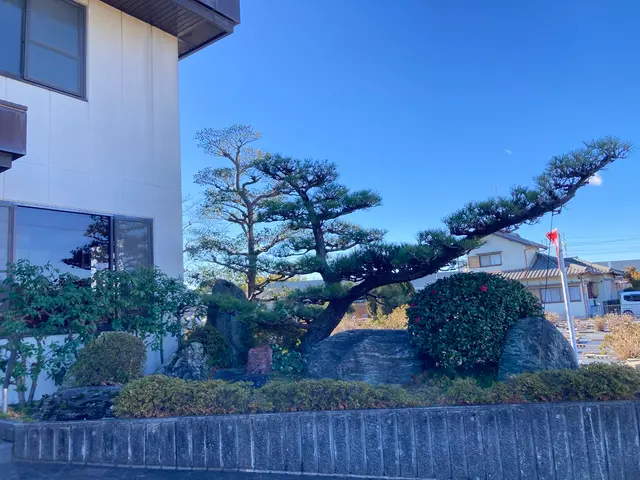 ☆植木の町稲沢市から★実績20年以上 自然風剪定で明るく風通しの良いお庭に！サービスの画像
