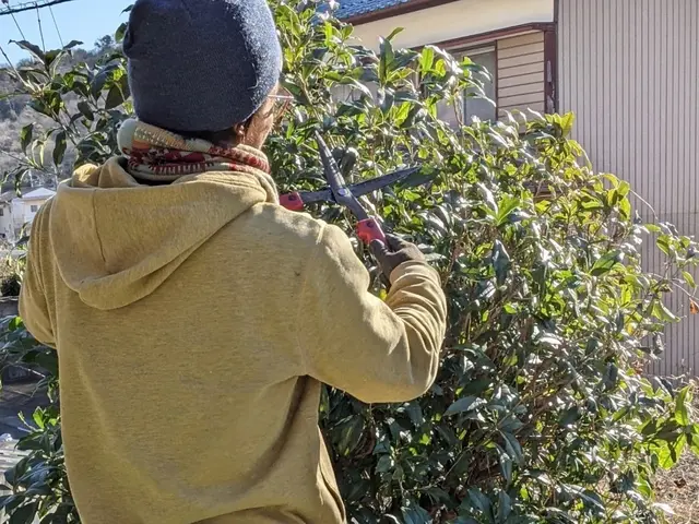 ☆ゴミ代込みの料金☆実績20年以上　　 自然風剪定で明るく風通しの良いお庭に！サービスの画像