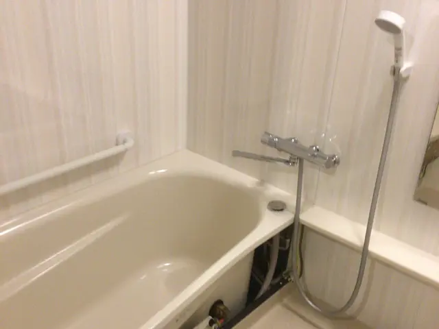 ☆手に負えない水廻りのお掃除は私にお任せ下さい！☆セットだと約20%もお得に！サービスの画像