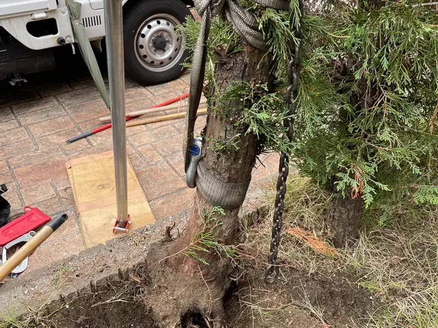 ◆予約から施工まで100%自社対応◎女性スタッフ同行可◎対応地域外も対応可サービスの画像