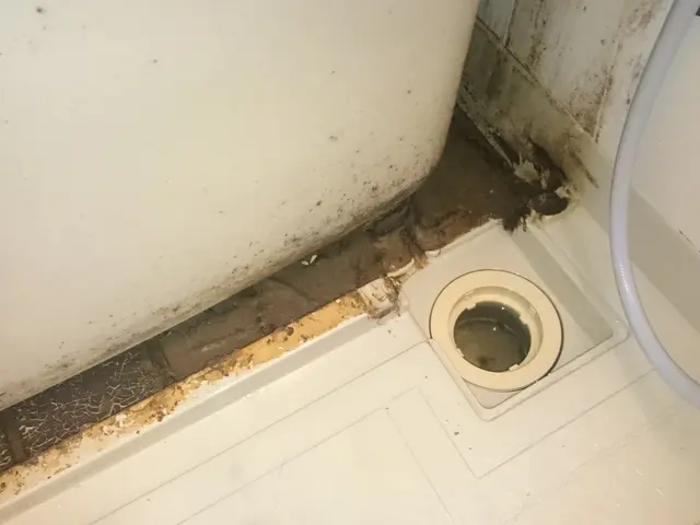 汚れスッキリ！浴室クリーニング サービスの画像