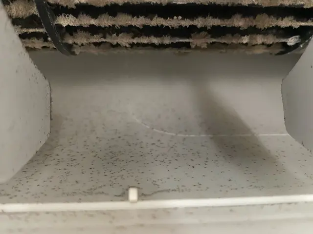 1000件以上の実績！複数台割引あり！非喫煙者！夏場使ったエアコンをキレイに！サービスの画像