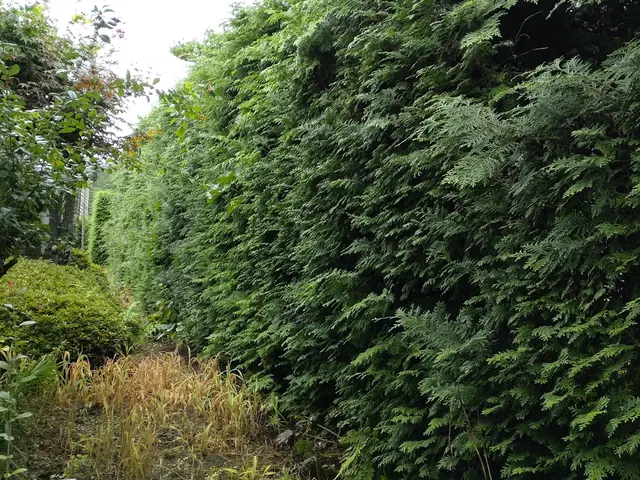 【業歴18年の経験と実績】自社の職人が迅速ていねいに仕上げます！サービスの画像