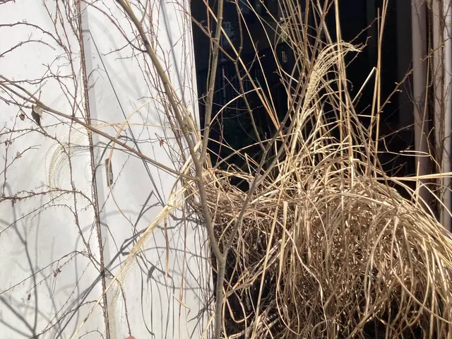 ◆店長の私がお伺いします◎営業時間外も対応可能◎アフターフォローもばっちりサービスの画像