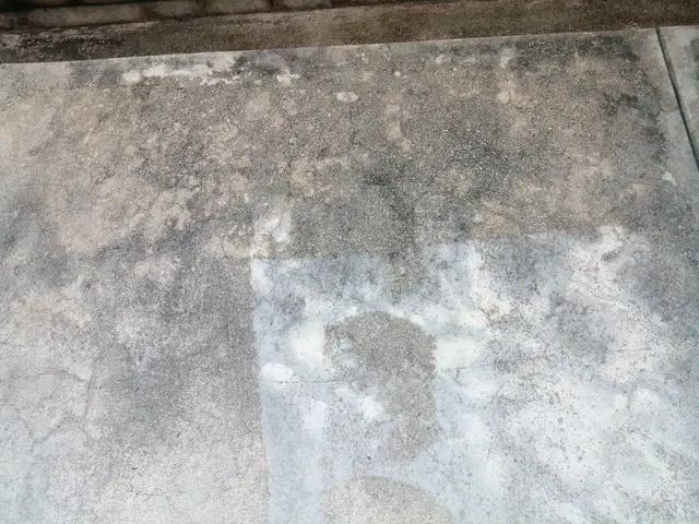 水あか・カビ・苔の徹底的除去サービスの画像