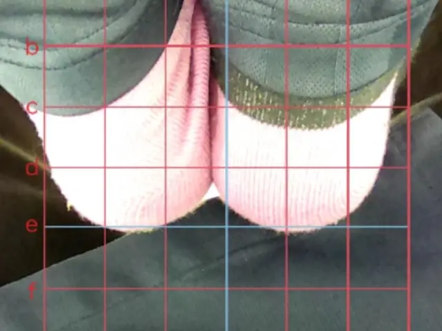 RAFTELサービスの画像