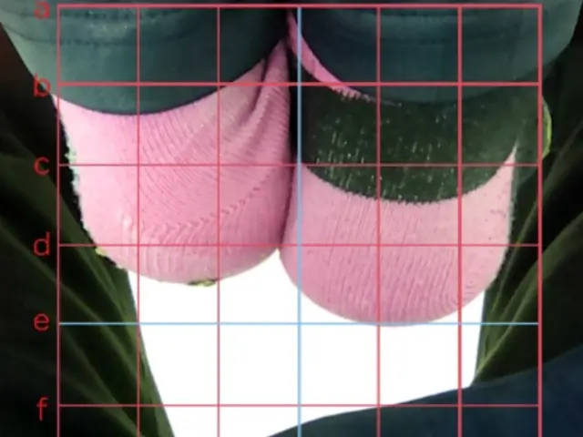 RAFTELサービスの画像