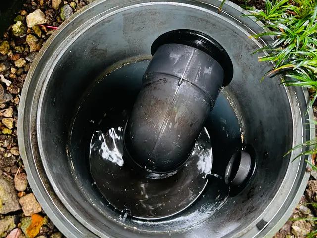 【女性店長が安心対応！】損害保険加入済み◎丁寧で迅速なサービスをご提供します！サービスの画像